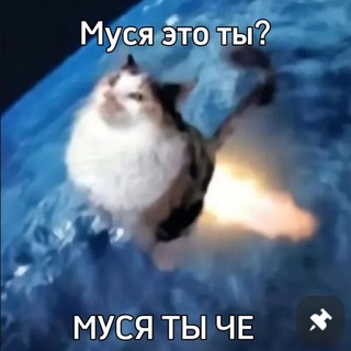 Telegram profile photo for щитпост это ты? |+18