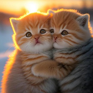 Telegram profile photo for Отзывы Психолог Прокопова Ольга