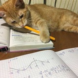 Telegram profile photo for ADD MATH F4 WITH QAYYUM
