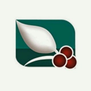 Telegram profile photo for اليمنيه جميع القنوات