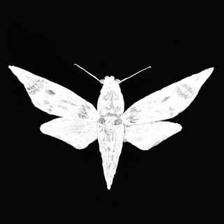 Telegram profile photo for спичка | беренис