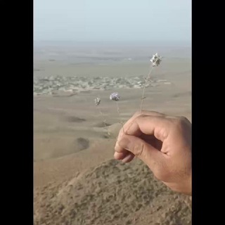 Telegram profile photo for کلاته اسدی ها