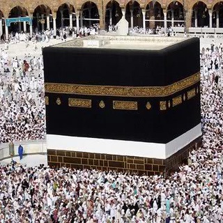 Telegram profile photo for کاروان حج دکترفاضلی 34002میبد