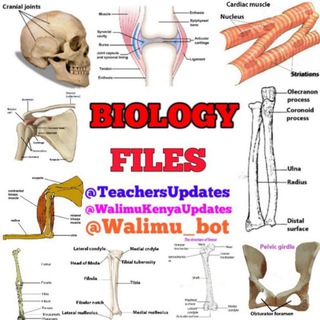 Telegram profile photo for Biology Discussion