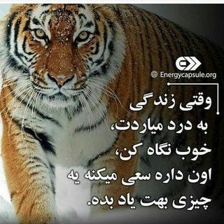 Telegram profile photo for کانال مسیر سبز بهبودی.☘