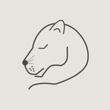 Telegram profile photo for Женский клуб «ТопЖенщины» Рязань