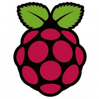 Telegram profile photo for RaspberryPi