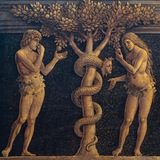 Telegram profile photo for Stupid Risks