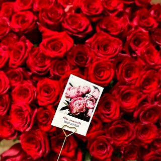 Telegram profile photo for хабибати