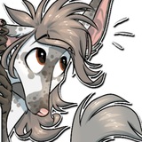 Telegram profile photo for Musings from Ook