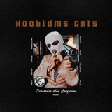 Telegram profile photo for HOODLUMS GALS