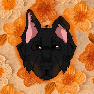 Telegram profile photo for От костей до трюков