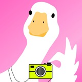 Telegram profile photo for Content Place | Съемки для бизнеса и маркетплейсов Екатеринбург content_placeekb