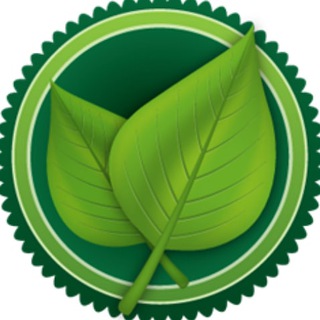 Telegram profile photo for Путь к Здоровью: Советы и Рецепты 🌱