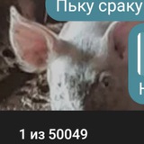 Telegram profile photo for ☠️
