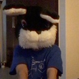 Telegram profile photo for —