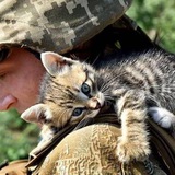 Telegram profile photo for 🇺🇦✙ЗСУ і котики🐈
