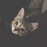 Telegram profile photo for переезд
