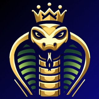 Telegram profile photo for Кобра Трейдер 👑