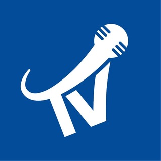 Telegram profile photo for Team Vívela Podcast