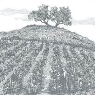 Telegram profile photo for Tempelhof _winery