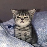 Telegram profile photo for HDR | Портфолио