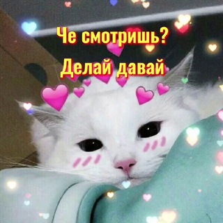 Telegram profile photo for Сделай это: