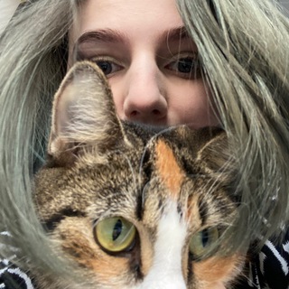 Telegram profile photo for будни журналистки