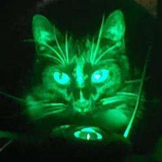 Telegram profile photo for UV Portal CTO