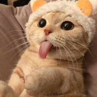 Telegram group profile photo for CHATTING ADDA