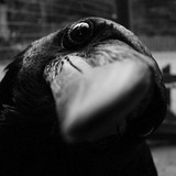 Telegram profile photo for 𝚜𝚘𝚔𝚛𝚘𝚟𝚒𝚜𝚌𝚑𝚗𝚒𝚝𝚜𝚊