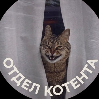 Telegram profile photo for Sapronovfilms