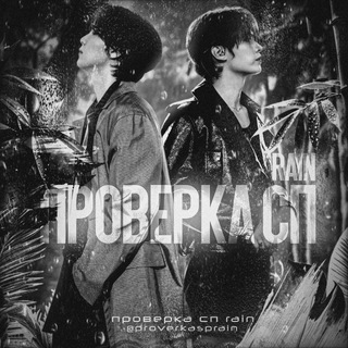 Telegram profile photo for Проверка спʳᵃⁱⁿ