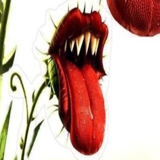 Telegram profile photo for сверли-ка