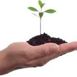 Telegram profile photo for عالم زراعة🌾
