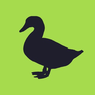 Telegram profile photo for Duck Investments🦆