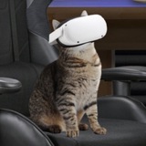 Telegram profile photo for YOUCAT PORTAL