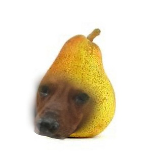 Telegram profile photo for Щп шруши лелеле⁶⁷