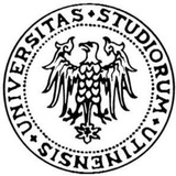 Telegram profile photo for Università di Udine🎓