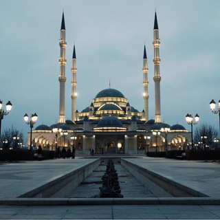 Telegram profile photo for Магас новости
