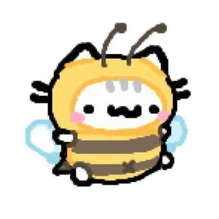 Telegram profile photo for Catotistic