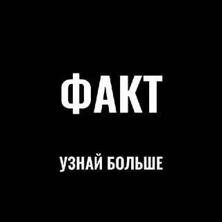 Telegram profile photo for Фактически История