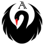 Telegram profile photo for Black Swan Dawn - Аналитика