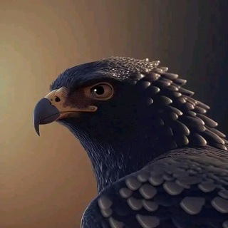 Telegram profile photo for PETIT-FILS DU FONCON NOIR