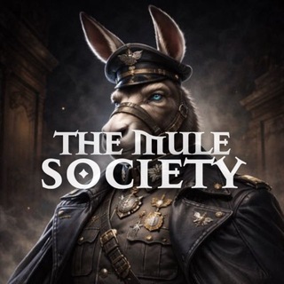 Telegram profile photo for The Mule Society