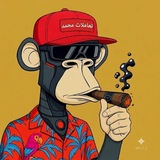 Telegram profile photo for تعاملات محمد