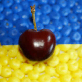 Telegram profile photo for Хуйовый Мелитополь