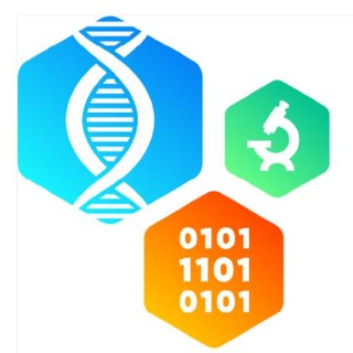 Telegram profile photo for LIMS IT-Lab
