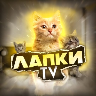 Telegram profile photo for Лапки TV 🐾 Животные 🐶