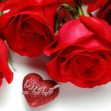 Telegram profile photo for گلهای زیبا